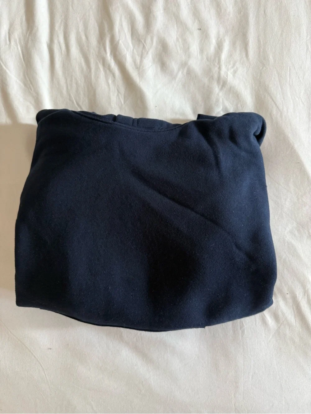 Aritizia cozy sweat fleece perfect hoodie